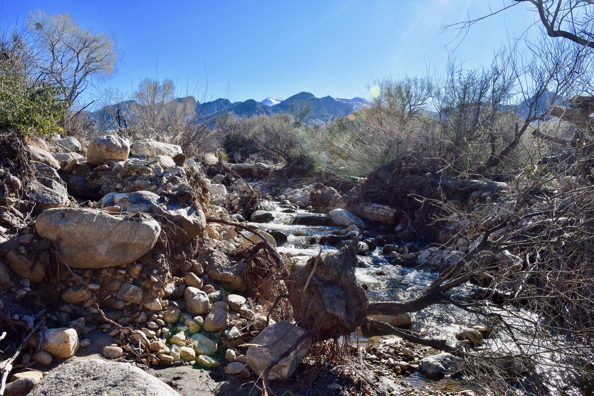 The creek 